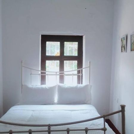 A Quaint Cottage With Rajah'S Seat View. マディケーリ エクステリア 写真